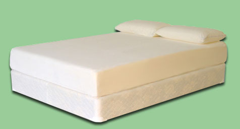 Visco Mattress With Shredded Pillows